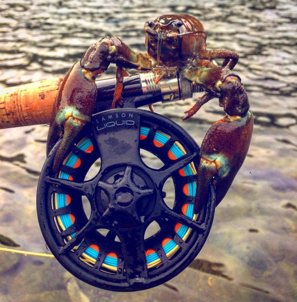 Lamson Liquid Fly Fishing Reel - @lizzieanne_s Fishing. Not always catching fish. | Lamson Fly Reels | Lamson Reels